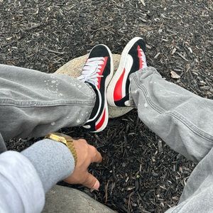 Meet your Posher, Raja